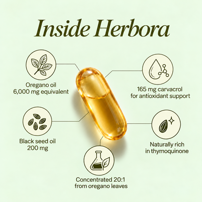 Herbora Oil Of Oregano